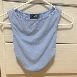 Cider Light Blue Crop Top